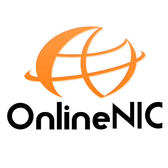 OnlineNIC Logo